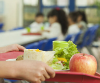 Nutricionistas nas escolas: proposta da Ordem v a luz do dia