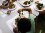 Escolas públicas têm falta de nutricionistas, alerta Ordem dos Nutricionistas