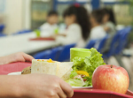 Nutricionistas nas escolas: proposta da Ordem v a luz do dia